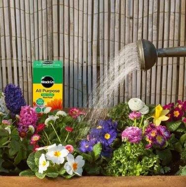 Miracle Gro All Purpose Water Soluble Plant Food 3