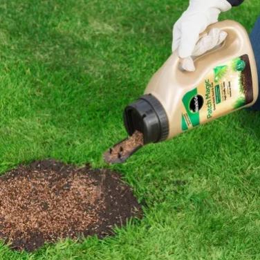 Miracle Gro Patch Magic Grass Seed, Feed & Coir 1015g 2
