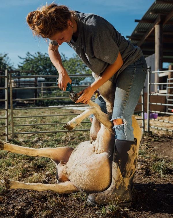 Muck Boot Women's Chore Classic Tall Boots Black 7