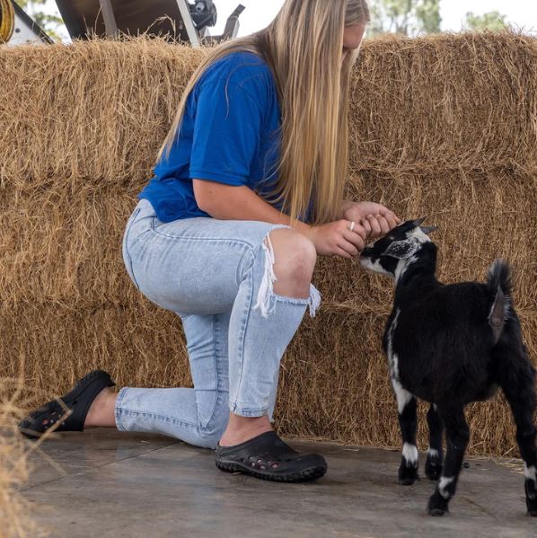 Muck Boot Women's Muckster Lite Clogs Black 1