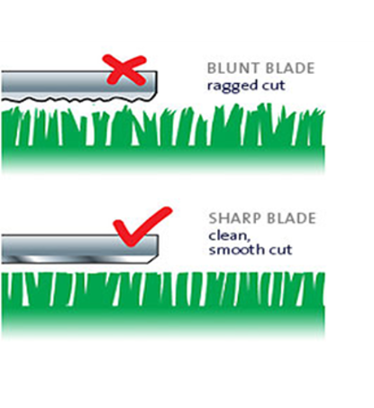 Multi-Sharp Rotary Lawn Mower Blade Sharpener 4