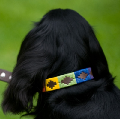 Pioneros Polo Dog Collar - Rainbow 2