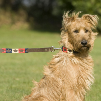 Pioneros Polo Dog Lead - Navy, Cream & Red 2