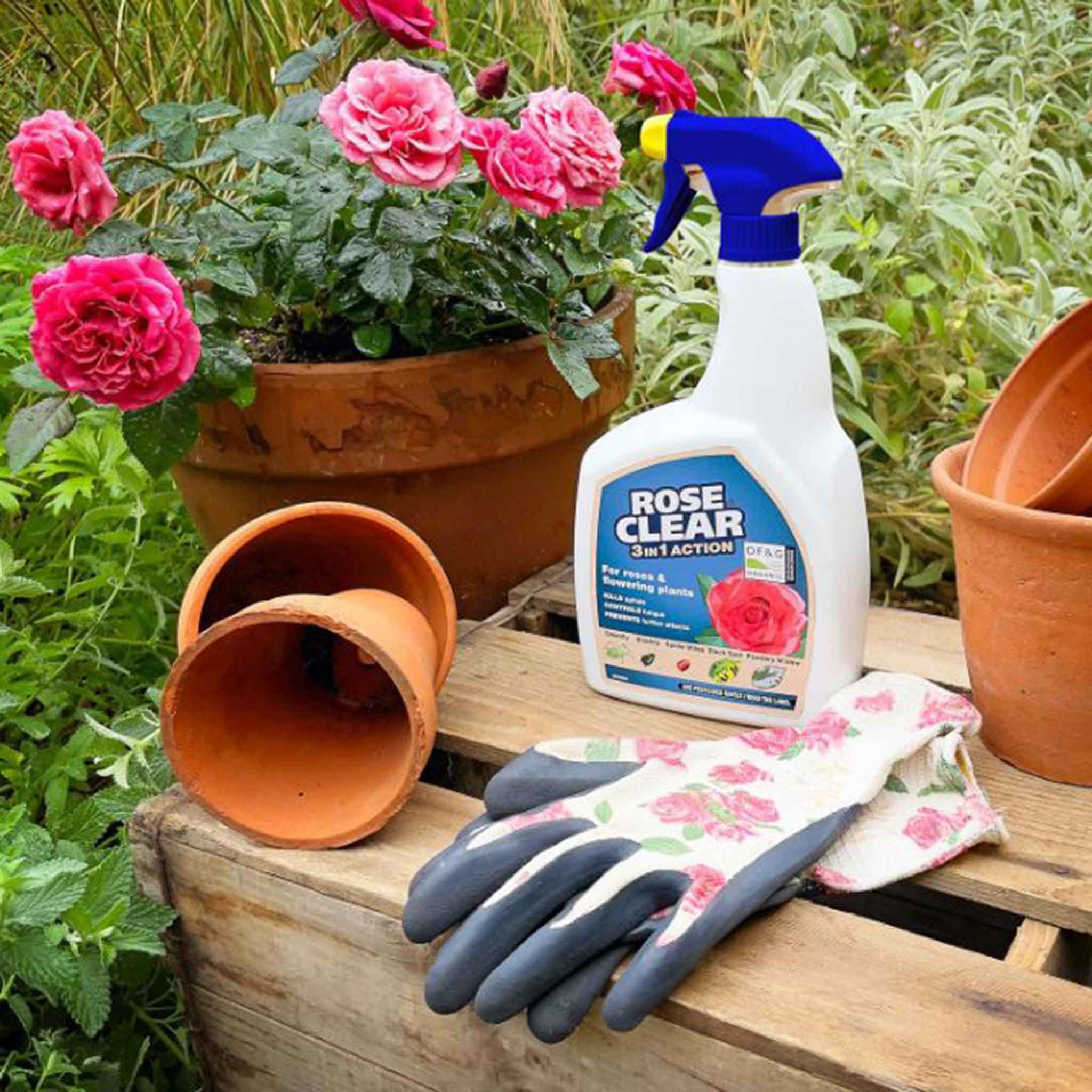 RoseClear-3-in-1-Action-Ready-to-Use-Spray-Gun-800ml-2