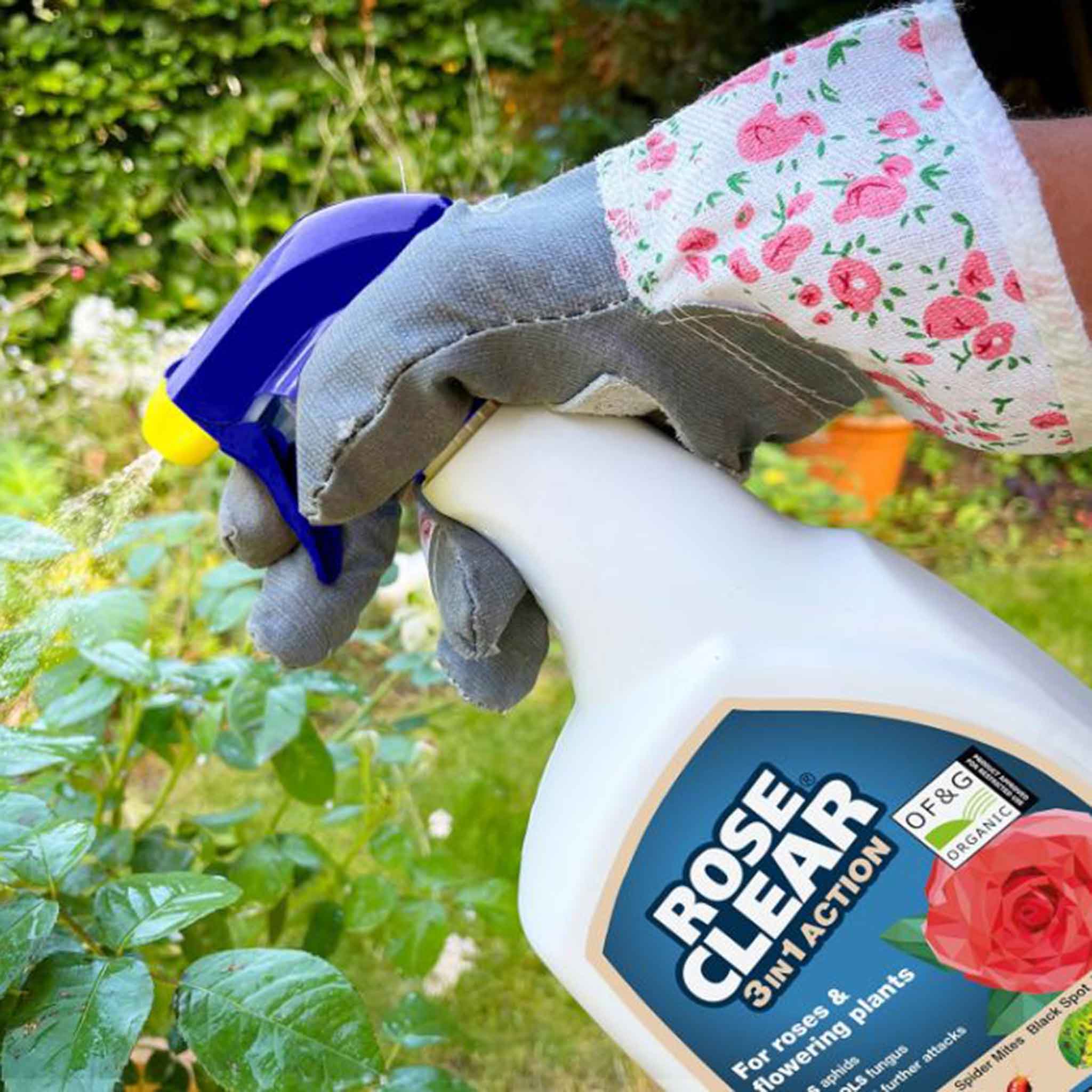 RoseClear-3-in-1-Action-Ready-to-Use-Spray-Gun-800ml-3