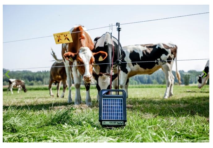 Rutland ESP 400 12 Volt Compact Solar Energiser 2