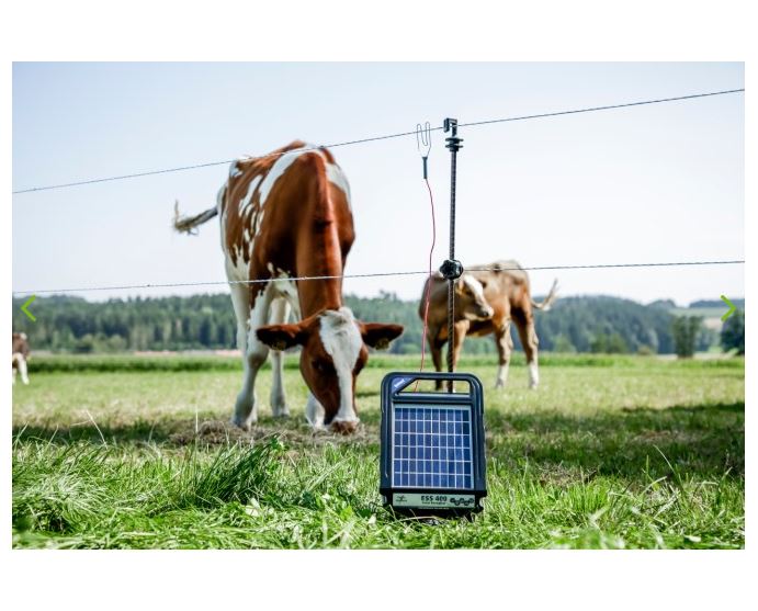 Rutland ESP 400 12 Volt Compact Solar Energiser 4