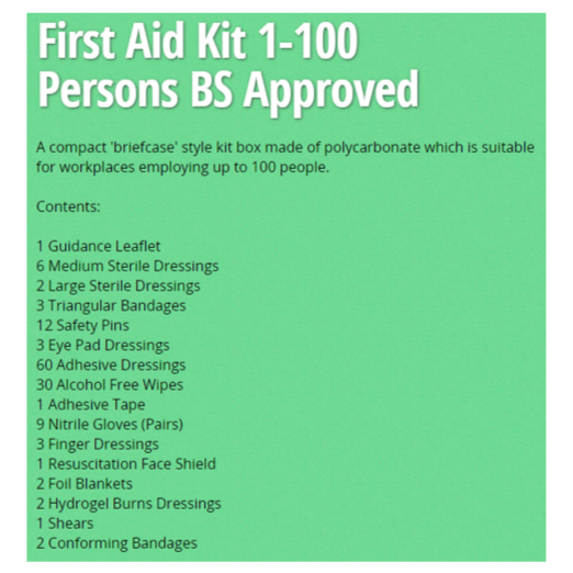 Scan 1-100 Persons First Aid Kit 2