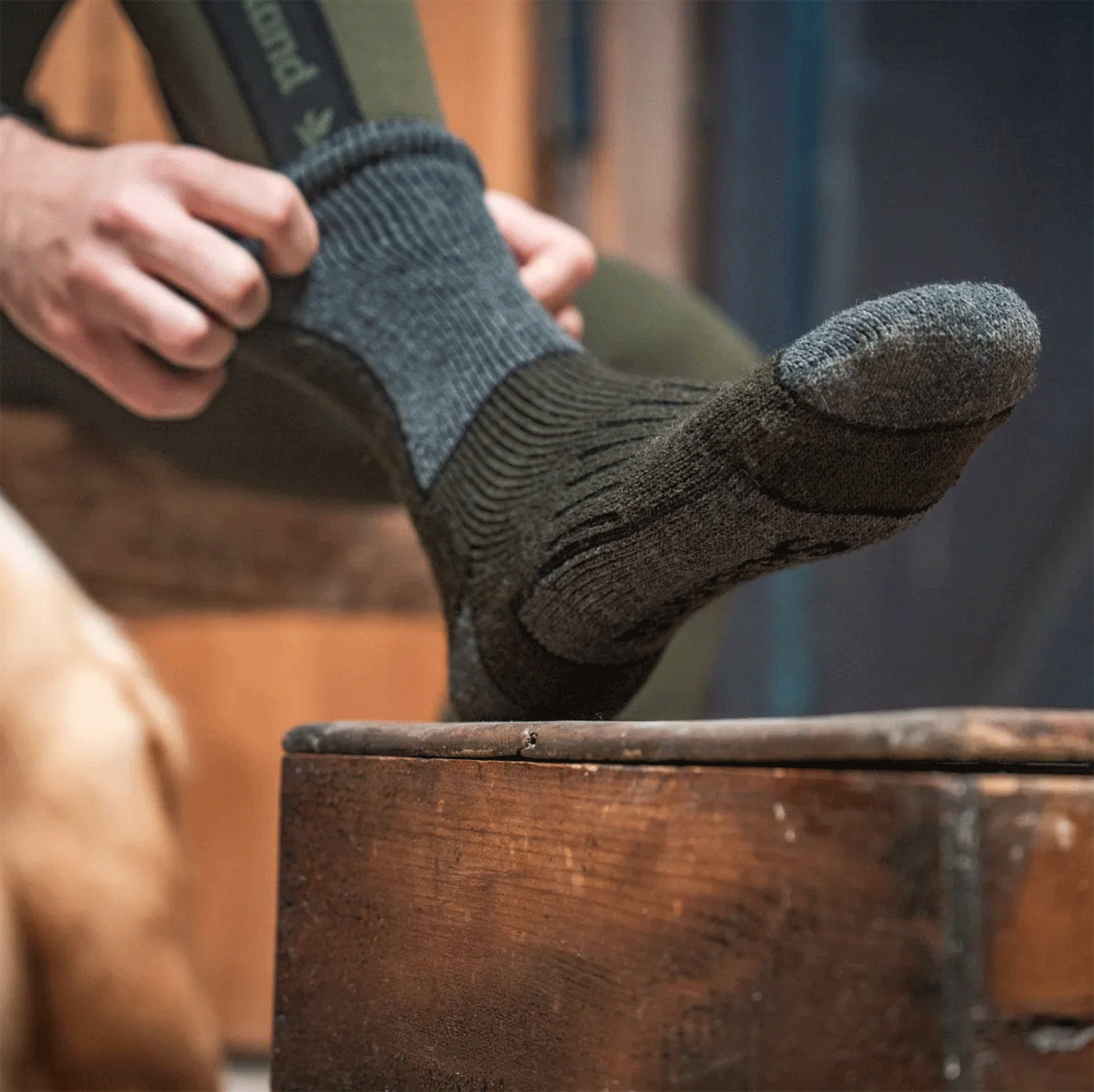 Seeland Field Thermo Sock 2 Pack