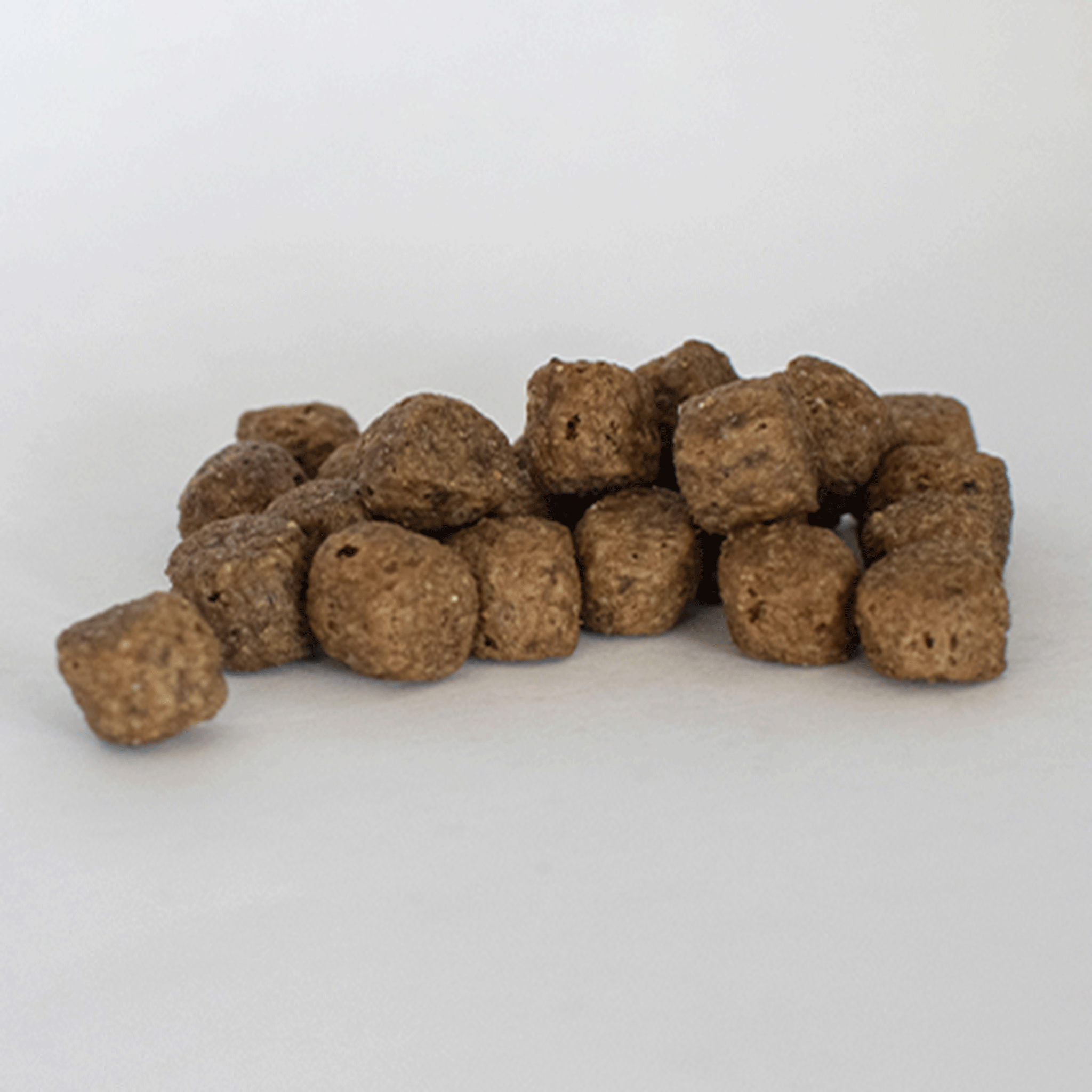 Skinner's Field & Trial Adult Turkey and Rice Dry Food - 15kg bag