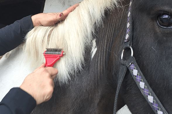 Solorake Humane Mane & Tail Thinner 2