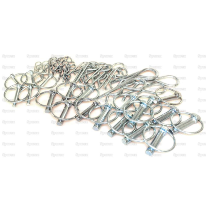 Sparex Linch Pin & Grip Clips Combination Pack 50pcs 1
