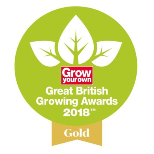 Spear & Jackson 3pc Stainless Steel Mini Potting Tool Set 3