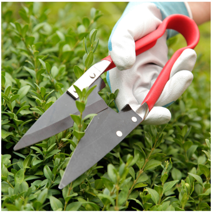 Spear & Jackson 4755TS Single Hand Topiary Shears