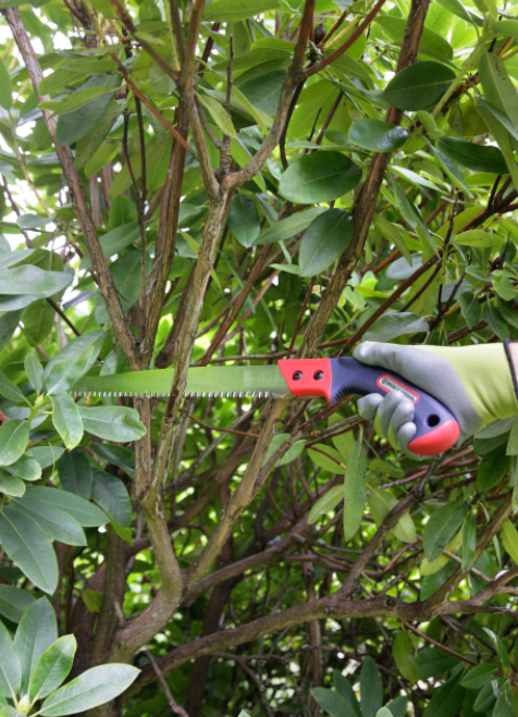 Spear & Jackson 4968PS Large Fixed Blade Pruning Knife 3