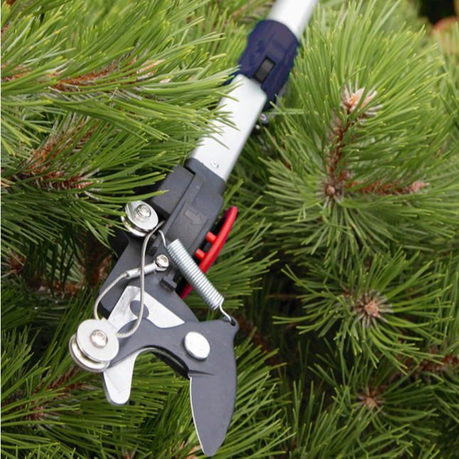 Spear & Jackson 8401 Telescopic Razorsharp Long Reach Cutter 5