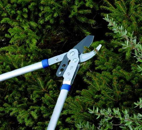 Spear & Jackson Razorsharp 27 inch (700mm) Bypass Loppers 2