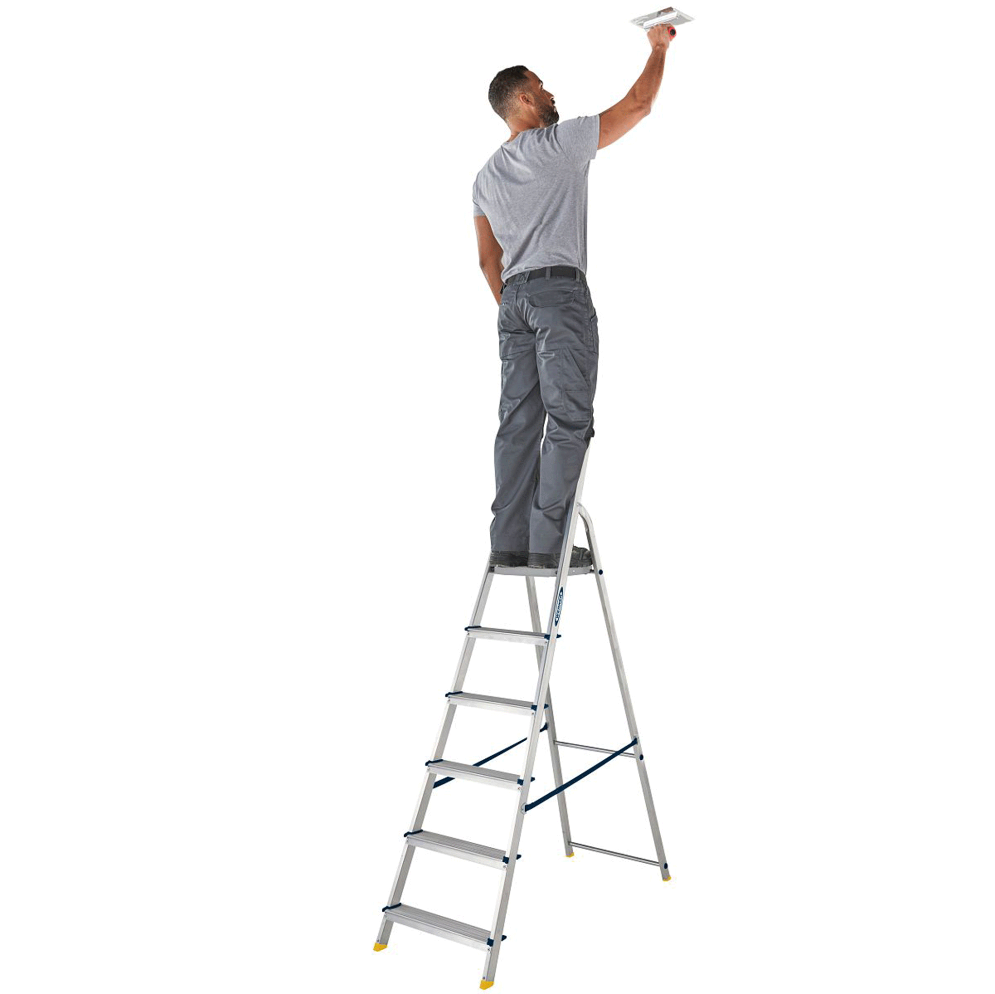 Werner Stepladder 6 Tread High Handrail