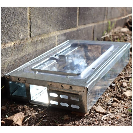 The Big Cheese Ready Baited Live Multi-Catch Mouse Trap 1