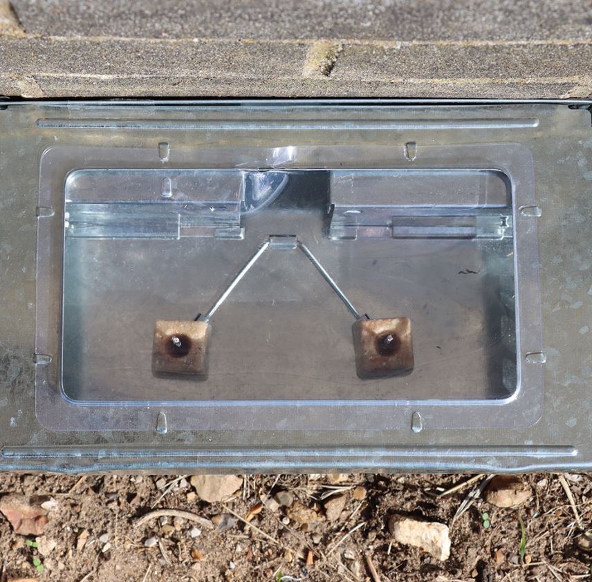 The Big Cheese Ready Baited Live Multi-Catch Mouse Trap 2