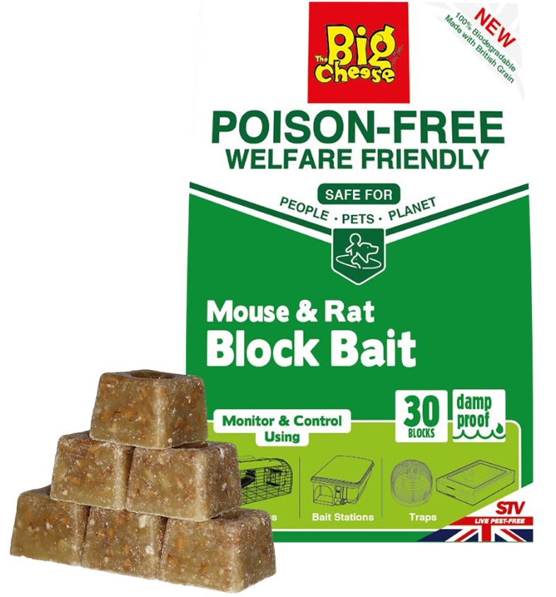 The Big Cheese Ready Baited Rat Trap 2