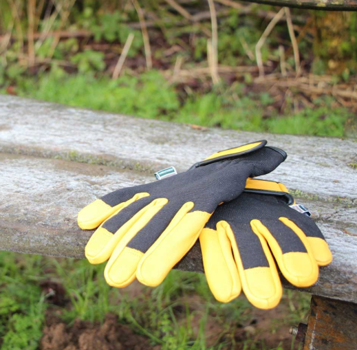 Town and Country Thermal Comfort Fit Leather Gloves 2