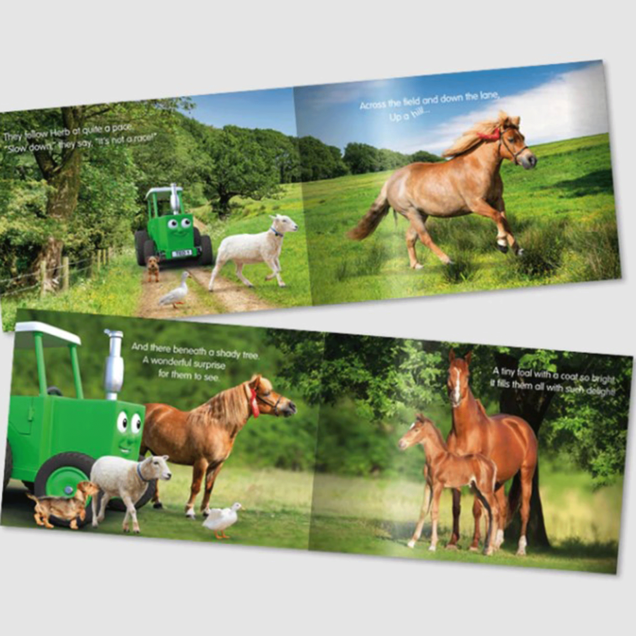 Tractor Ted Herb’s Surprise Storybook