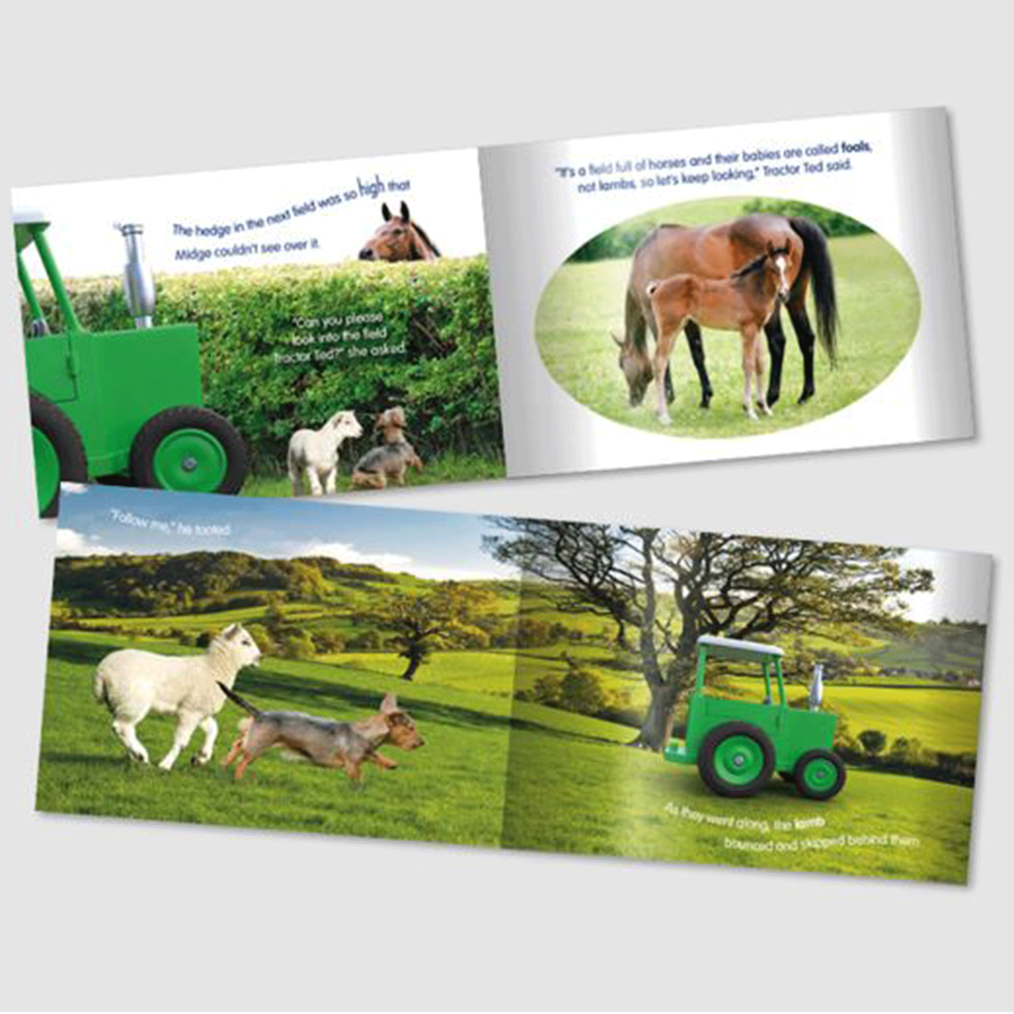 Tractor Ted Little Lost Lamb Storybook