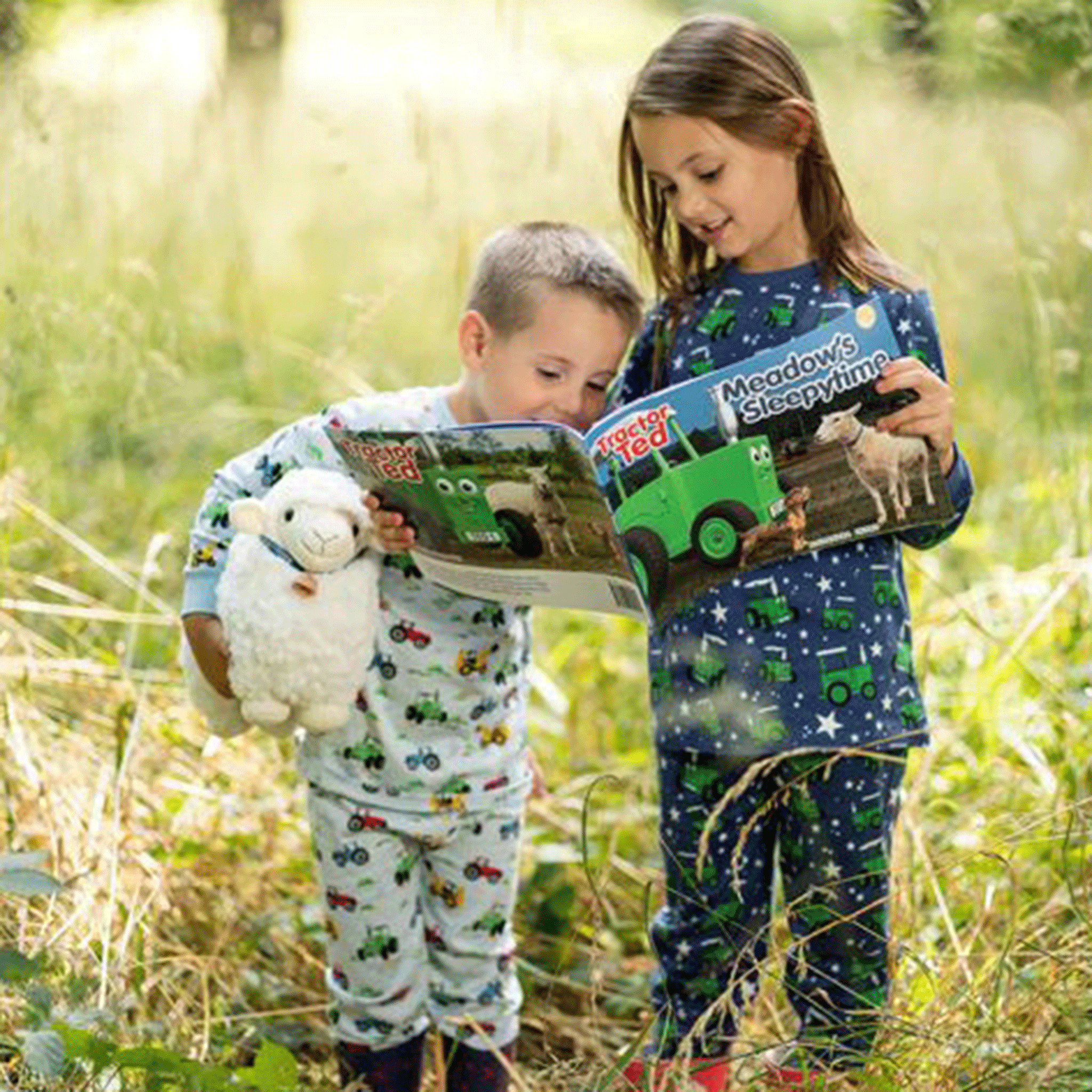 Tractor Ted Meadow's Sleepy-time Storybook