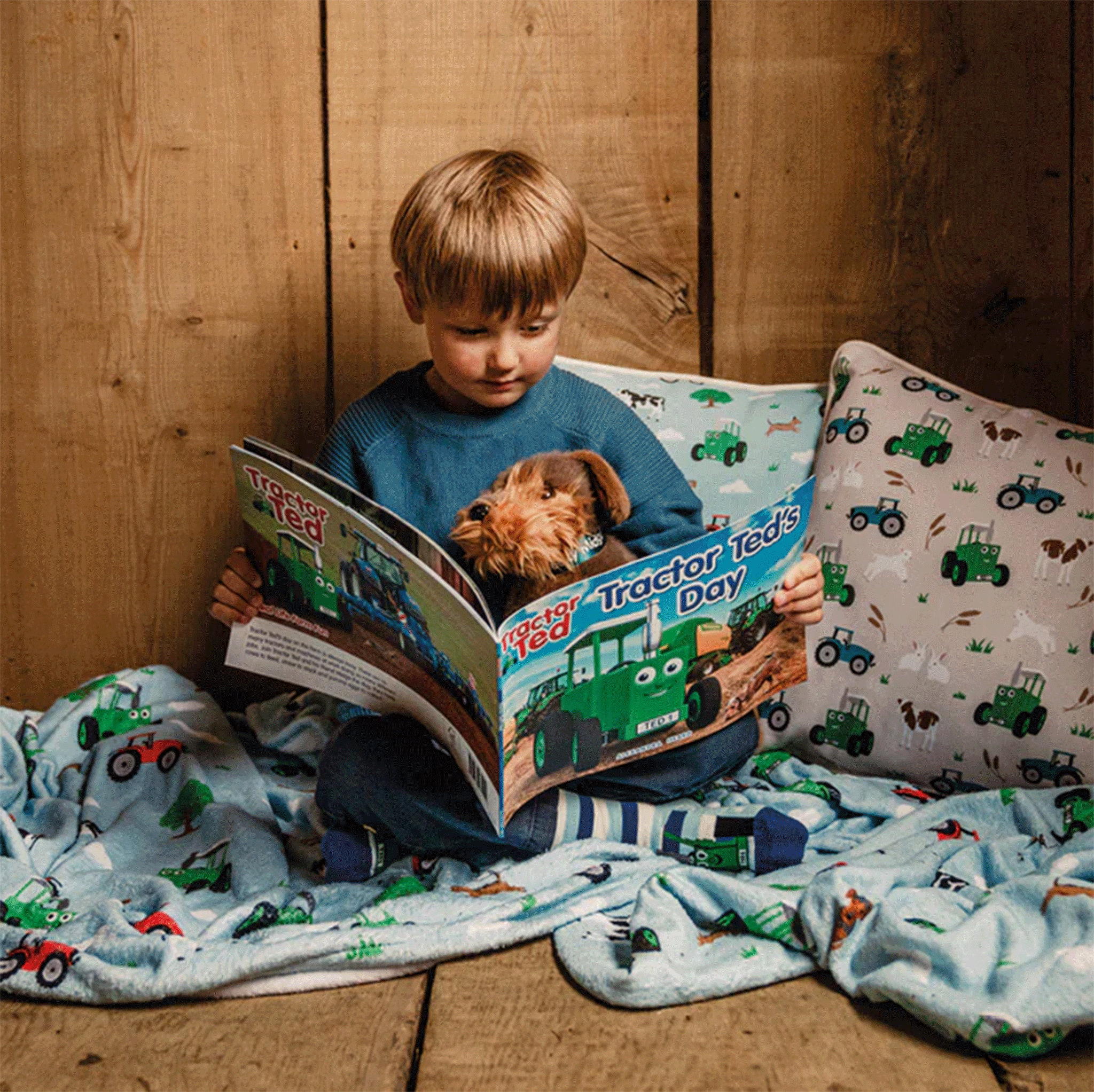 Tractor Ted's Day Story book