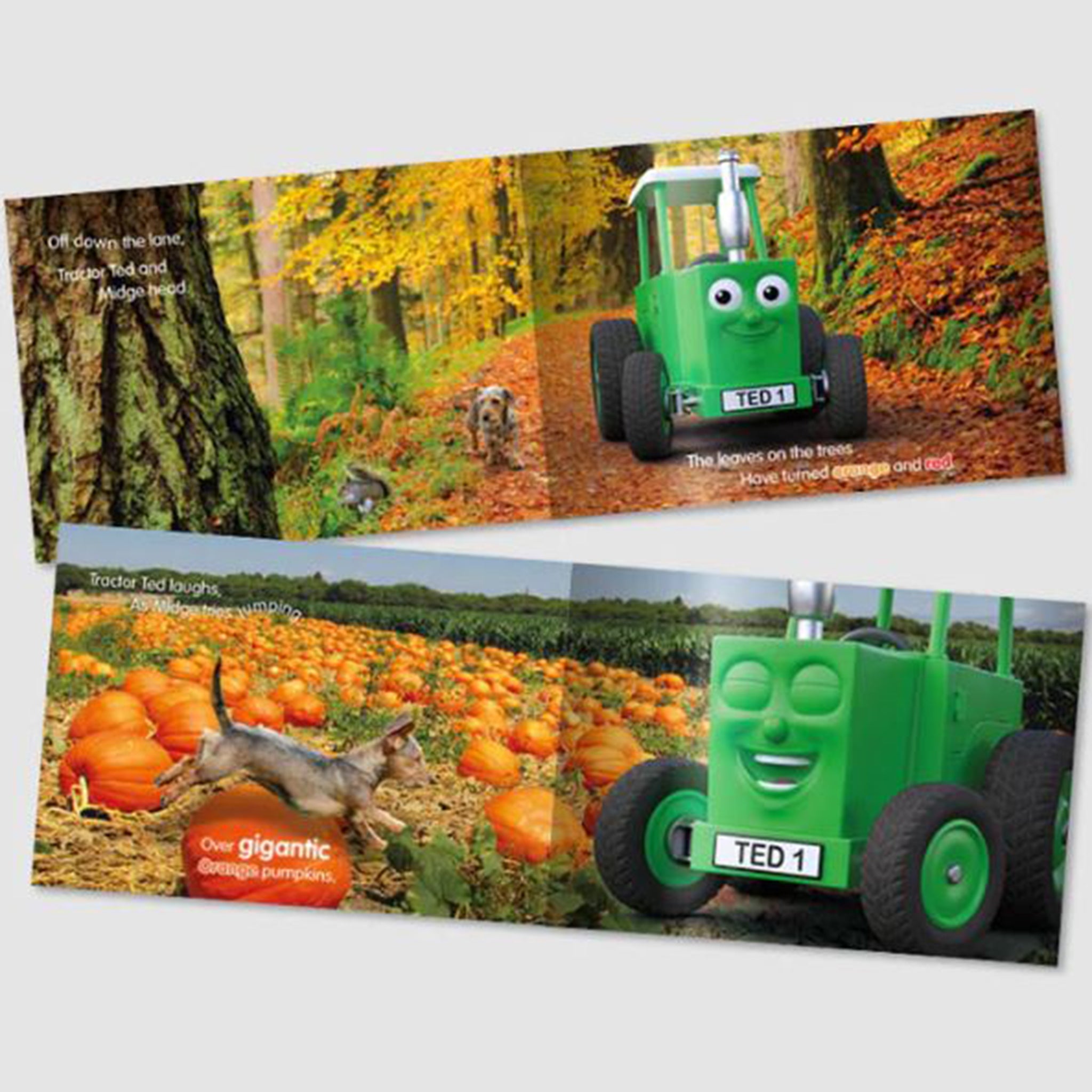 Tractor Ted An Autumn Day Storybook