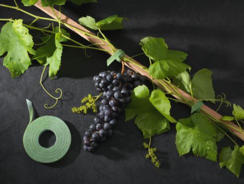 Velcro One Wrap Garden Ties x 25 (20cm x 1.2cm) 4