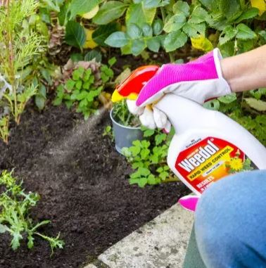 Weedol Rapid Ready to Use Weed Control 1Ltr 2
