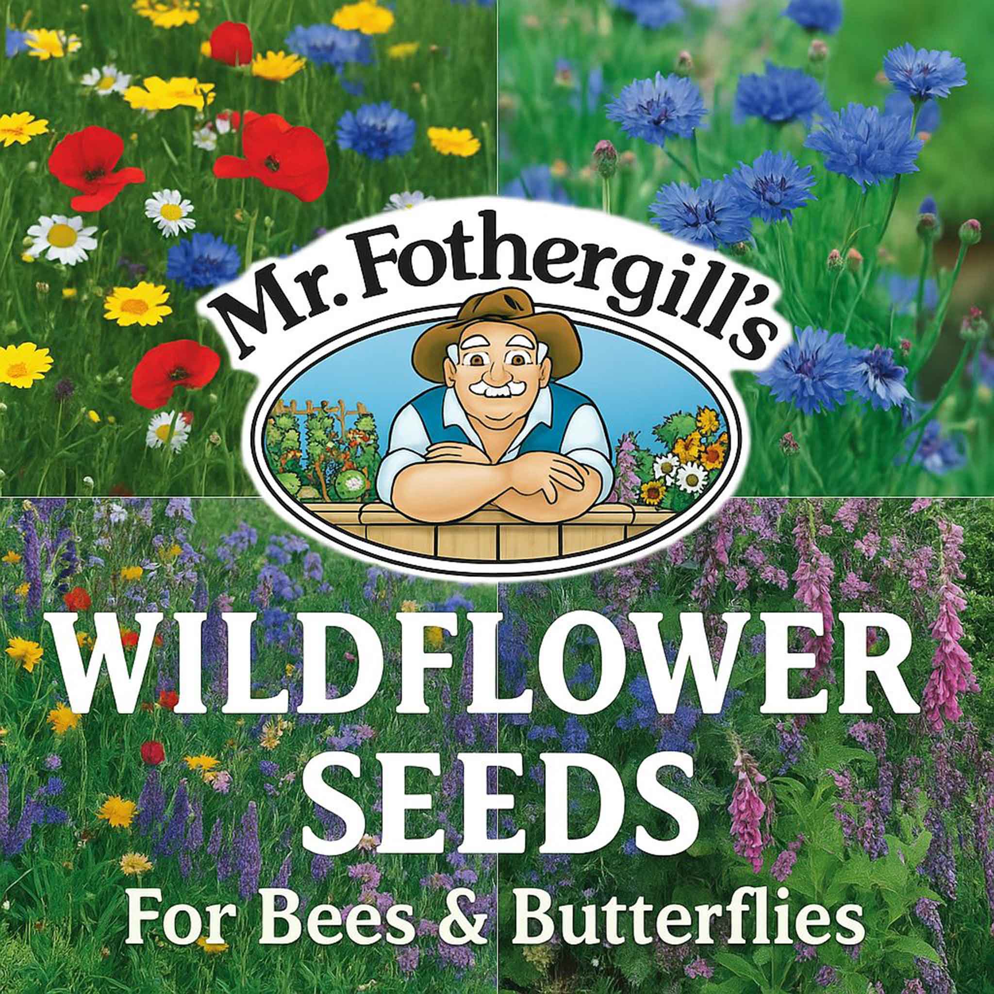 emery flower seeds rf5 Mr Fothergill's