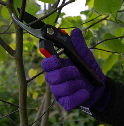 Wilkinson Sword 1111174W Bypass & Anvil Pruner Twin Pack 3