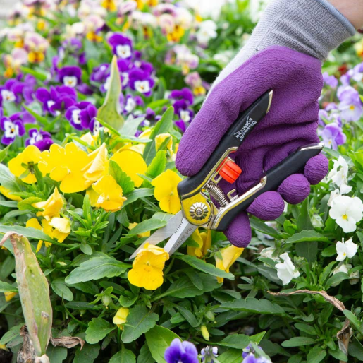 Wilkinson Sword 1111285W Precision Pruner Twin Pack 3