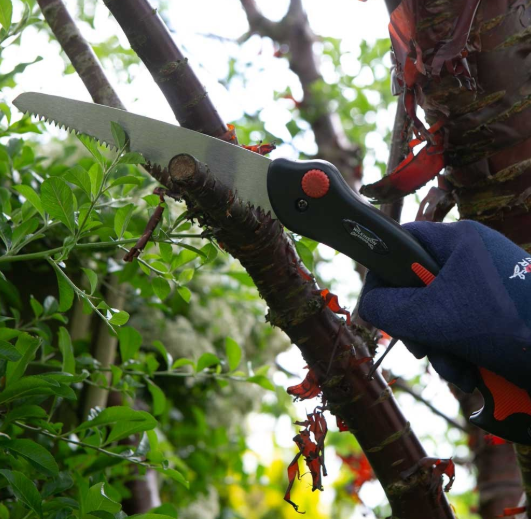 Wilkinson Sword 1111295WG Folding Pruner Saw & Pruner Set 2