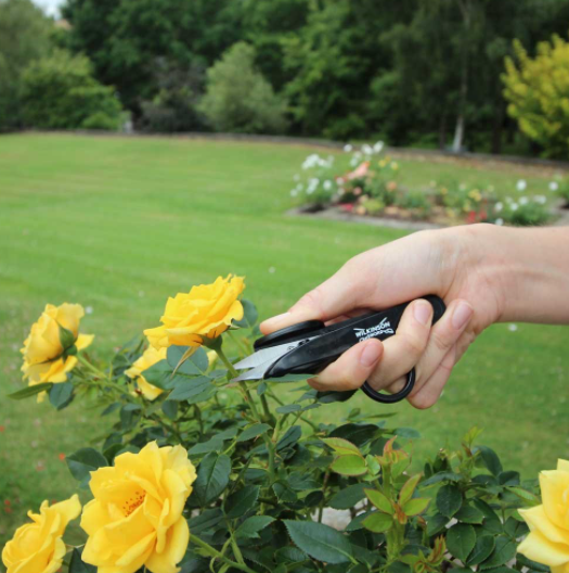 Wilkinson Sword 1111307W Deadheading Snips 2