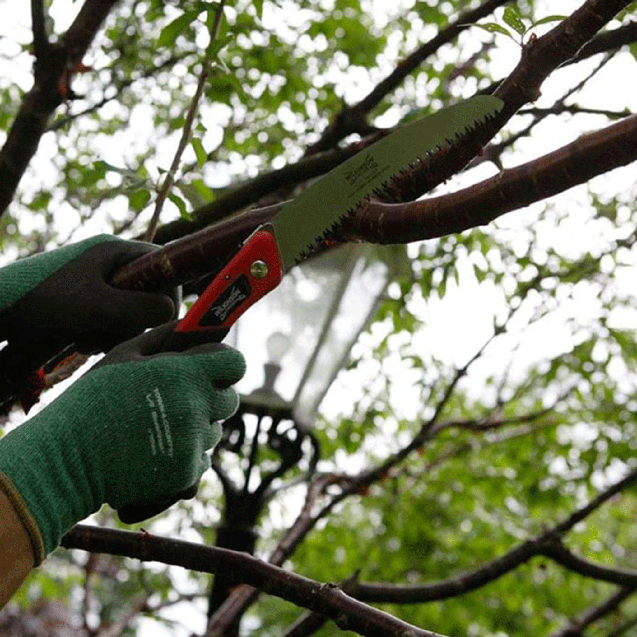 Wilkinson Sword Turbo Folding Saw