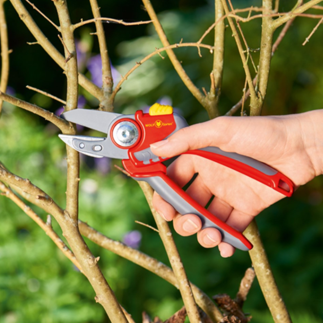 Wolf Garten RS4000 Large Anvil Secateurs 1
