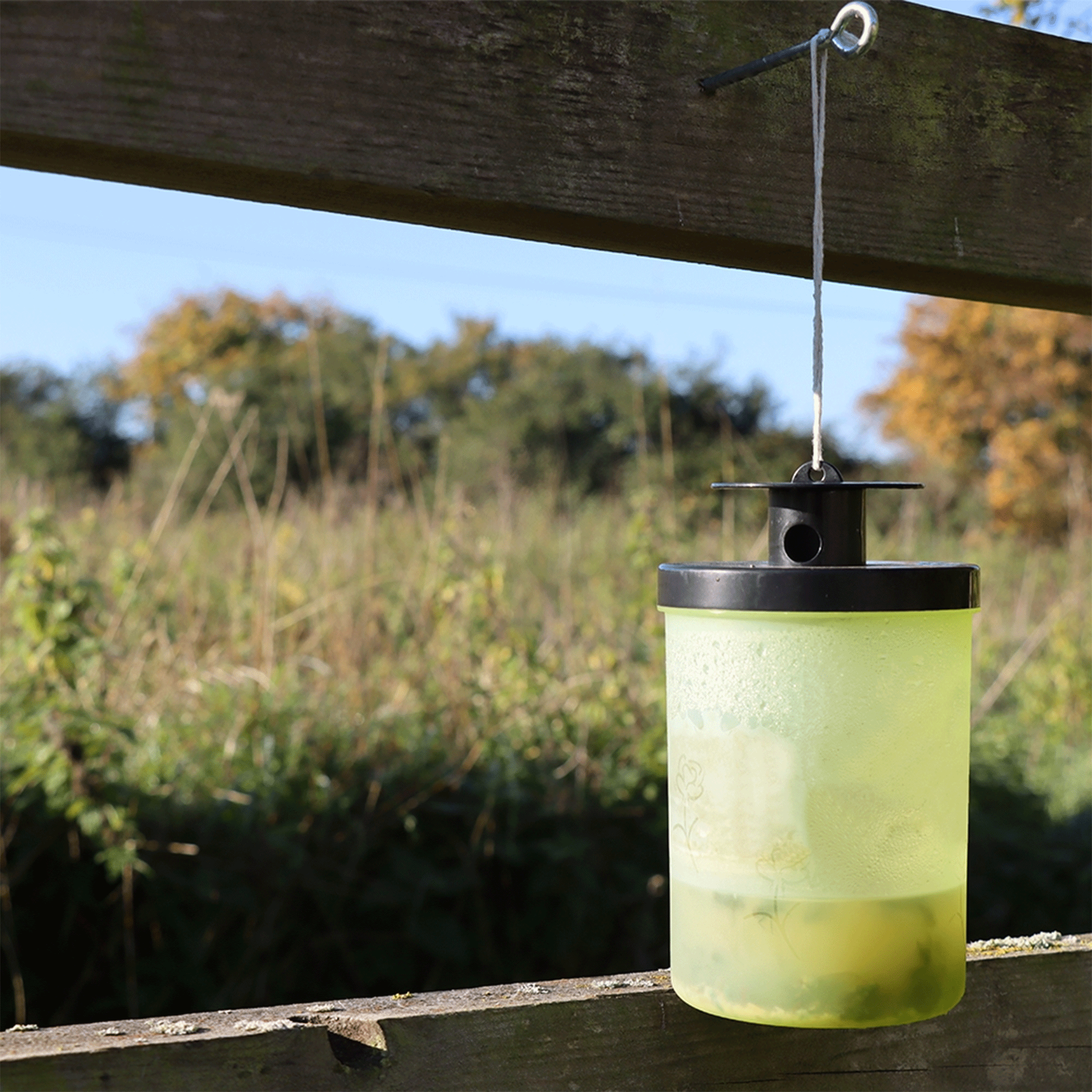 Zero In Ready-Baited Wasp Trap ZER365
