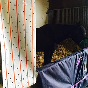 Zero In Ultra Power Sticky Fly Roll 2