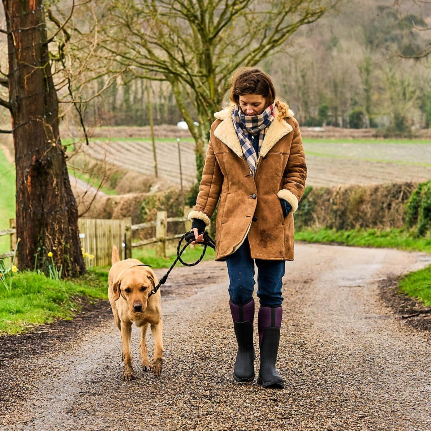 gbt-37323-69105-f-r-1