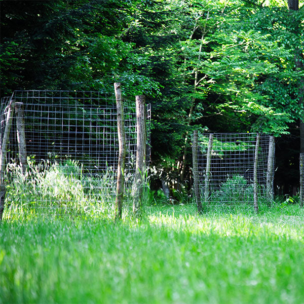 Fenceman Electric Poultry Fencing 50m