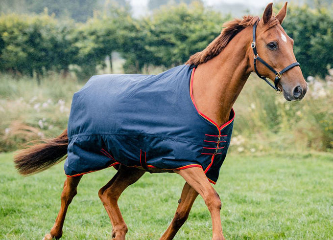Equi-Sential 600D Lightweight Turnout Rug 0g 4.jpgCROP