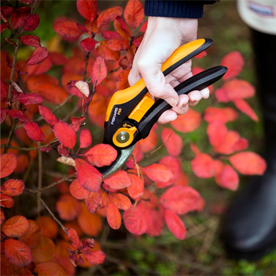 Pruners