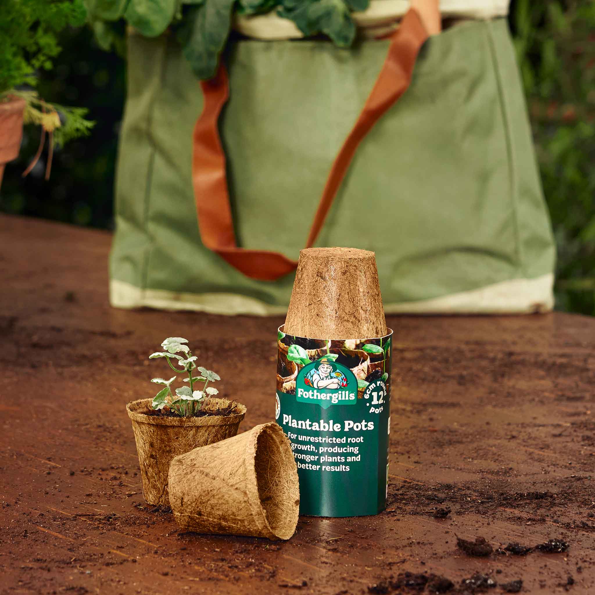 Pots & Planters