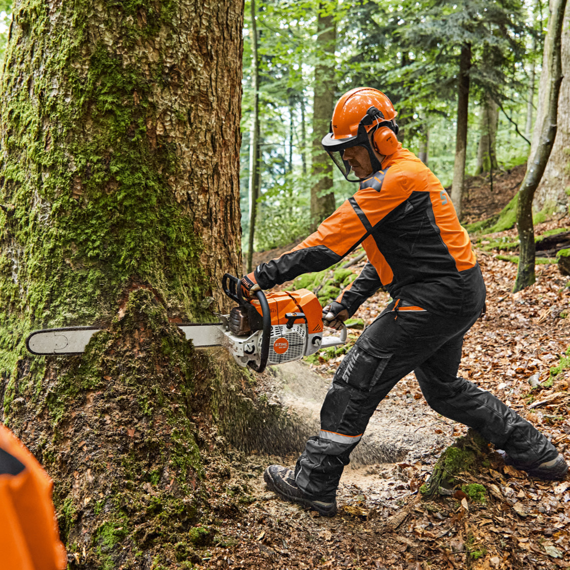 Chainsaw PPE & Safety Equipment