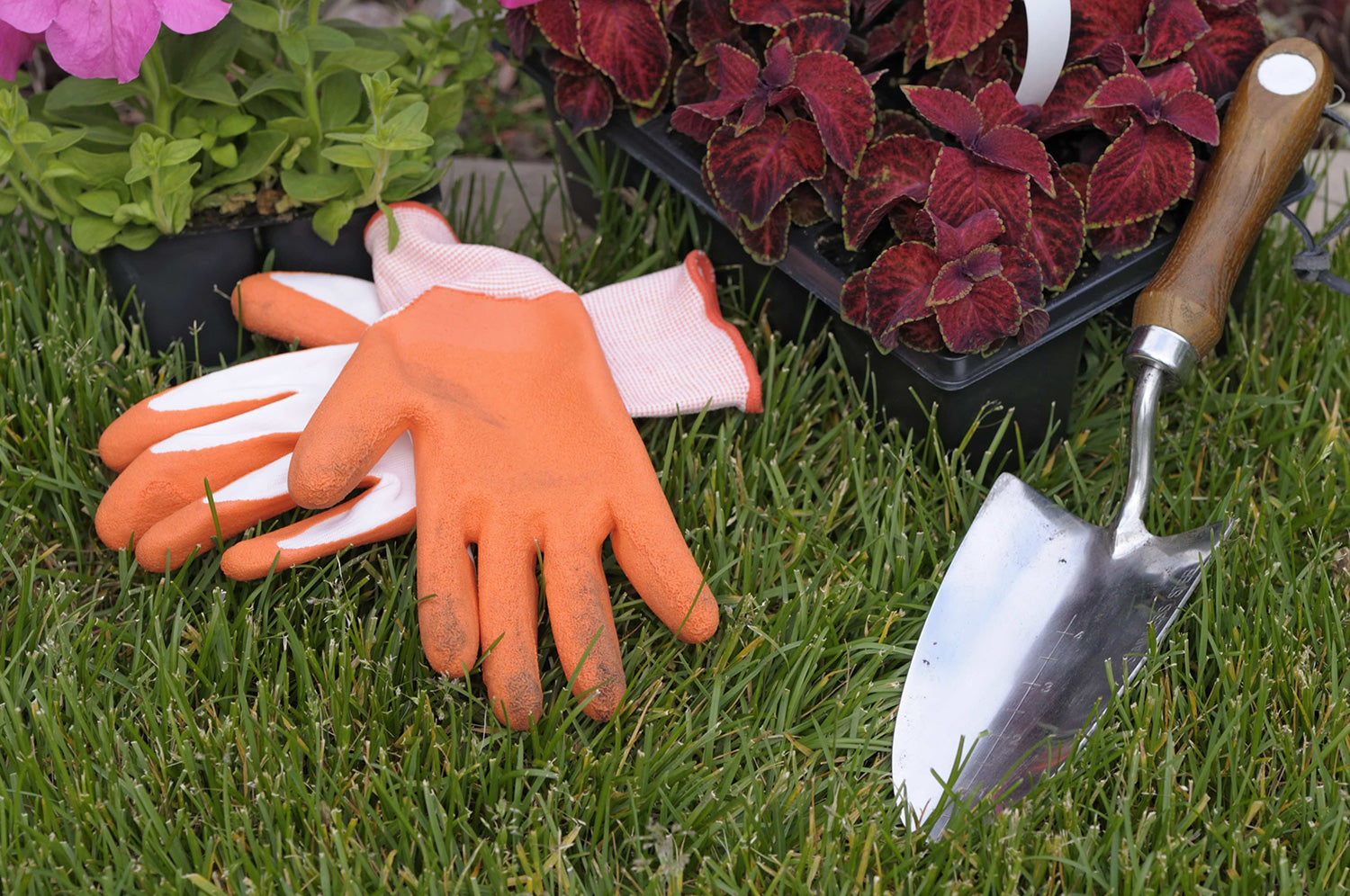 gloves