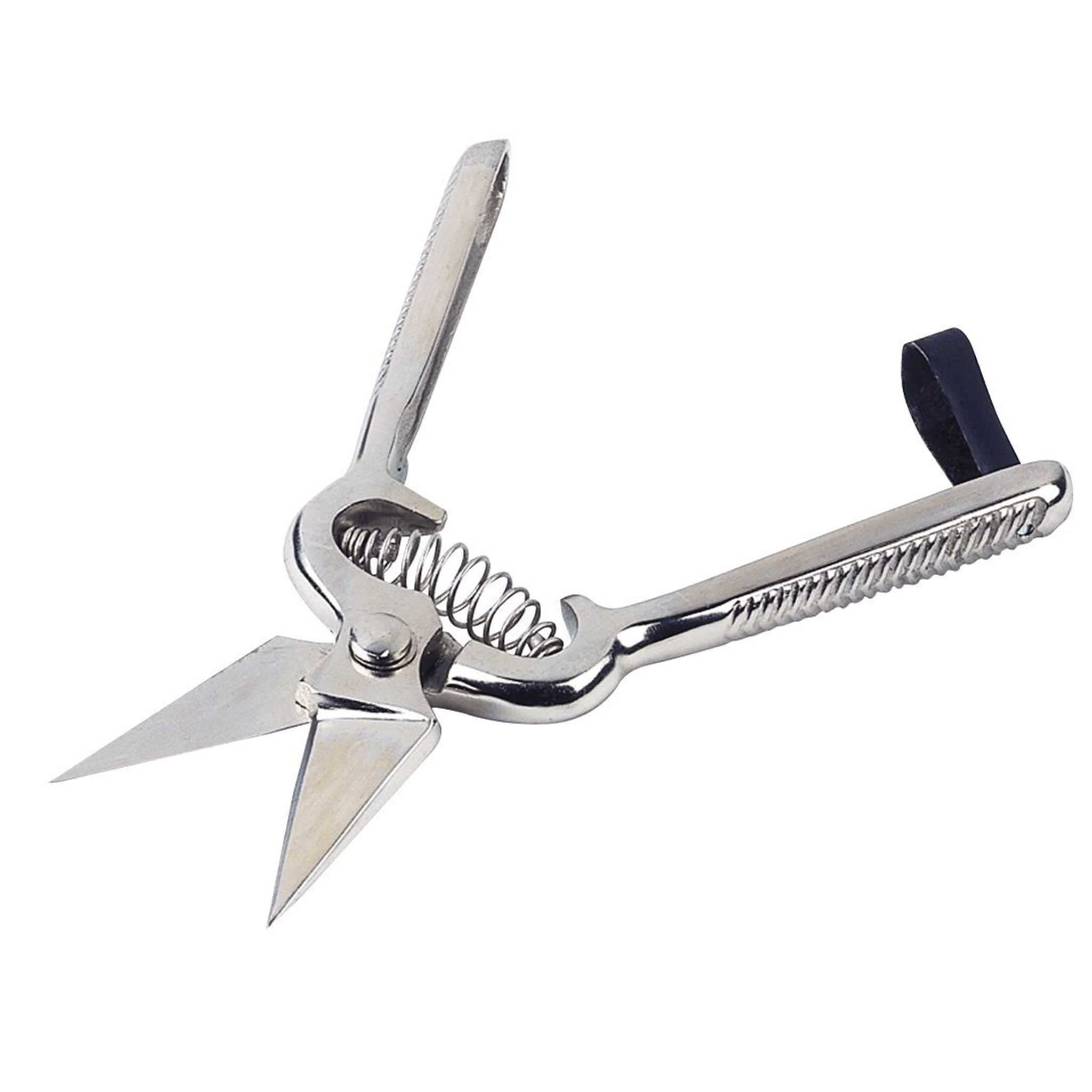Stockshop Standard Footrot Shears